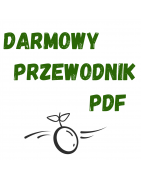 Przewodnik (PDF)